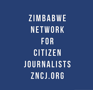 ZNCJ LOGO